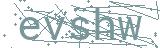 Fehler beim Laden des Captchas